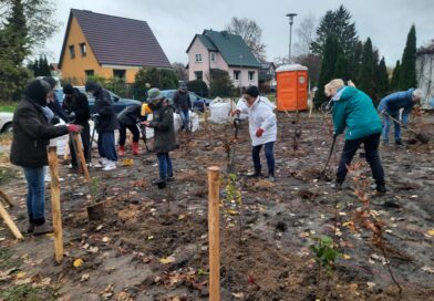 Bäume für die Zukunft in Teltow gepflanzt