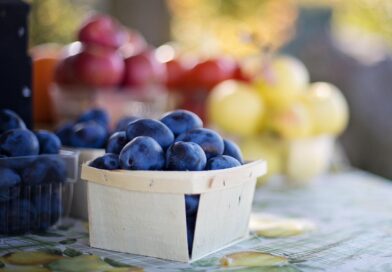 Öko-Modellregionen für das Land Brandenburg gesucht Öko-Modellregionen für das Land Brandenburg gesucht