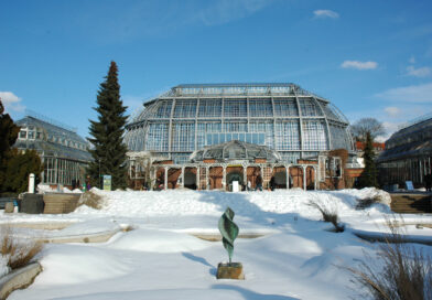 Draußen grau – drinnen wow: Im Botanischen Garten Berlin haben die Kamelien jetzt Hochsaison Draußen grau – drinnen wow: Im Botanischen Garten Berlin haben die Kamelien jetzt Hochsaison