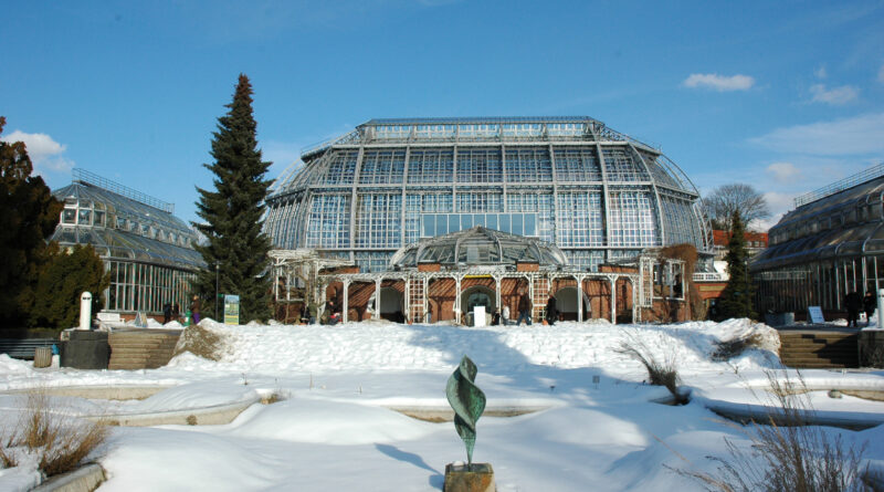 Draußen grau – drinnen wow: Im Botanischen Garten Berlin haben die Kamelien jetzt Hochsaison Draußen grau – drinnen wow: Im Botanischen Garten Berlin haben die Kamelien jetzt Hochsaison