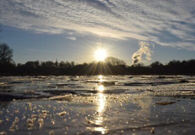 Polizeiliche Suchmaßnahmen in Stahnsdorf am Güterfelder Haussee Polizeiliche Suchmaßnahmen in Stahnsdorf am Güterfelder Haussee
