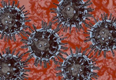 Brandenburg – Weitere Ausbrüche der Newcastle Disease (ND) festgestellt