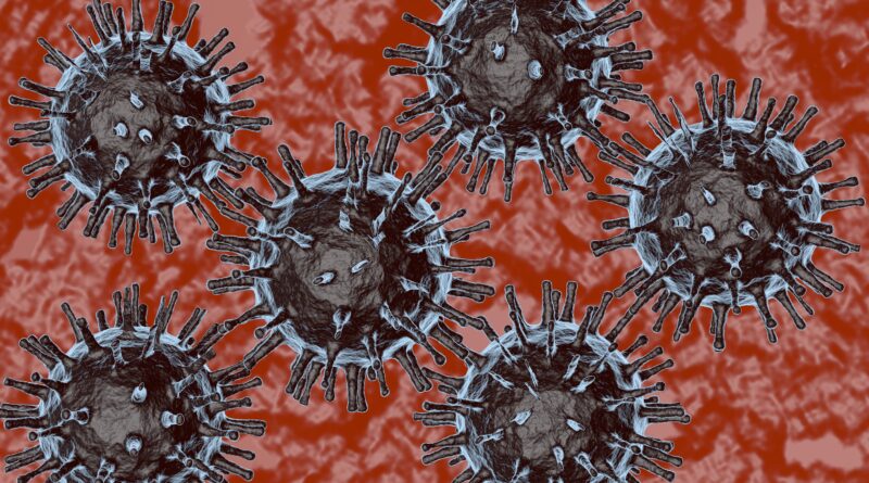 Brandenburg – Weitere Ausbrüche der Newcastle Disease (ND) festgestellt