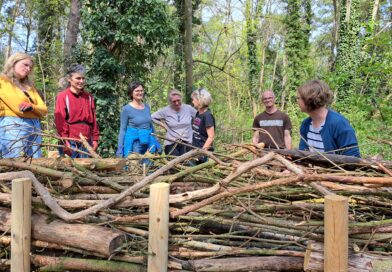 Kleinmachnow – Mehr Schutz für den Bannwald und Naturgärten durch Benjeshecken