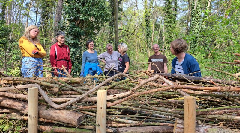 Kleinmachnow – Mehr Schutz für den Bannwald und Naturgärten durch Benjeshecken