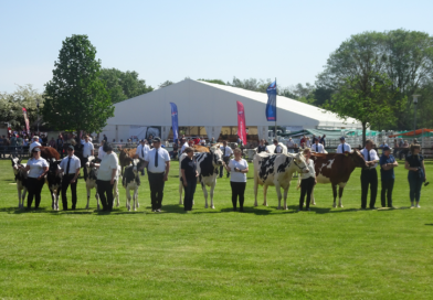 33. BraLa 2026: Brandenburgs Schaufenster für Landwirtschaft, Technik und ländlichen Genuss