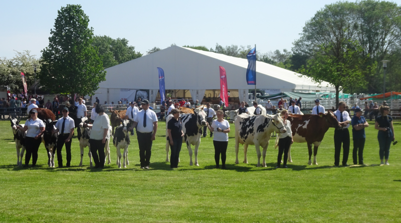 33. BraLa 2026: Brandenburgs Schaufenster für Landwirtschaft, Technik und ländlichen Genuss