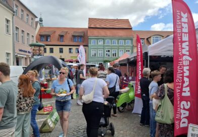 Ausbildungsmesse „Level Up“ bringt Unternehmen, Jugendliche und Familien zusammen Ausbildungsmesse „Level Up“ bringt Unternehmen, Jugendliche und Familien zusammen