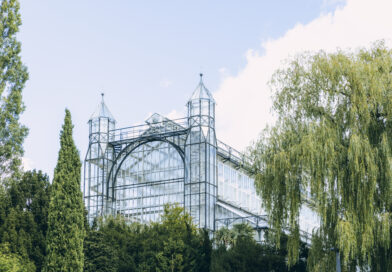 Mittelmeerhaus gerettet: Botanischer Garten Berlin erhält Bundesmittel für die Grundsanierung