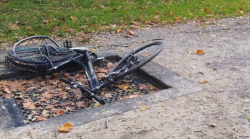 Vandalismus auf dem Spielplatz Förster-Funke-Allee Nord: Spielgeräte werden abgebaut